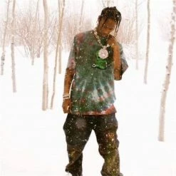 Streetgarm Travis Scott Astroworld Alien Tie Dye T-Shirt NEW