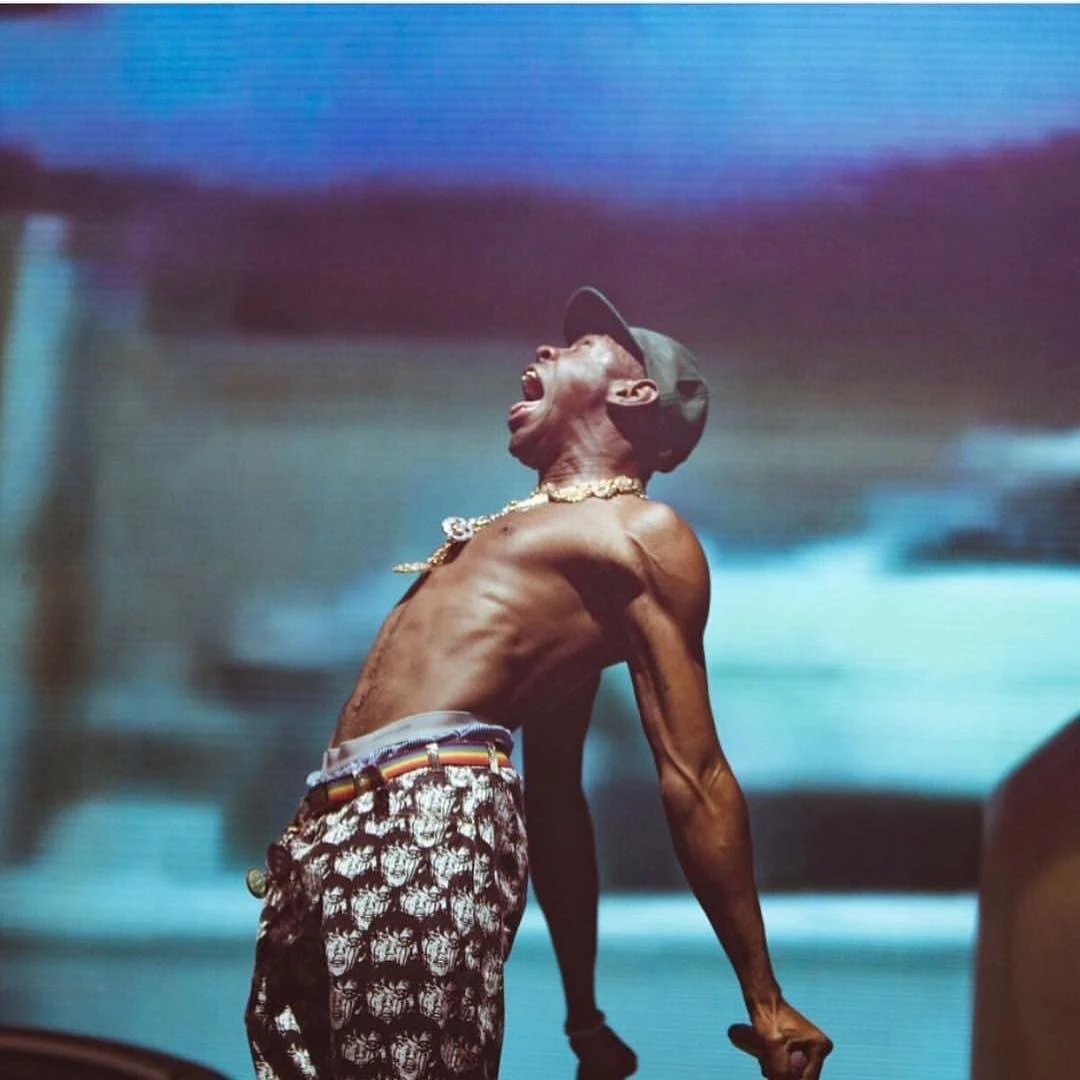 Budget ✔️ Streetgarm Tyler The Creator Golf Punk Face Pants NEW 😉 6 Streetgarm Tyler The Creator Golf Punk Face Pants NEW